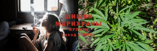 PSILOCYBIN Абинск